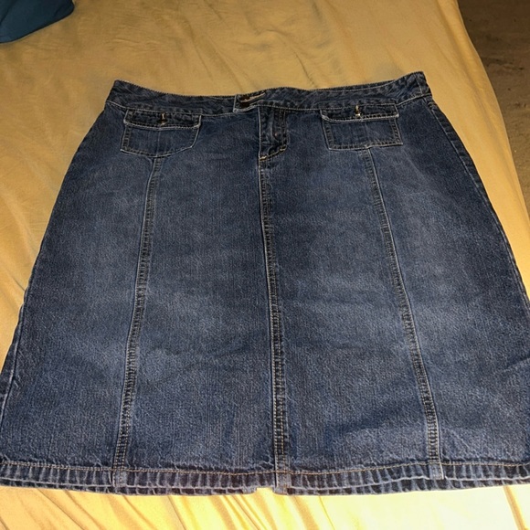 Ladies Denim A-line Skirt - Picture 1 of 6